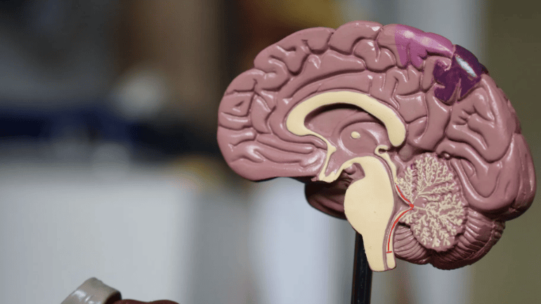 Em casos raros, o Alzheimer pode surgir precocemente, em pessoas com menos de 65 anos • Unsplash/Robina Weermeijer