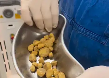 Foto: Reprodução/redes sociais