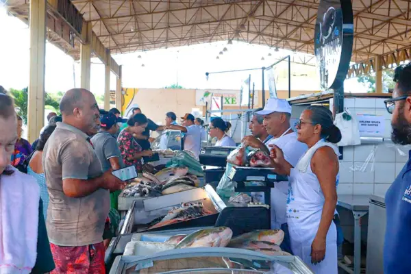 Ceasa Digital: Nova lei cria plataforma digital para venda direta de produtos em Rio Branco