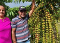 Produtor de Cruzeiro do Sul revela segredos que o levaram a vencer prêmio de melhor café do Acre: 'manejo'; VÍDEO