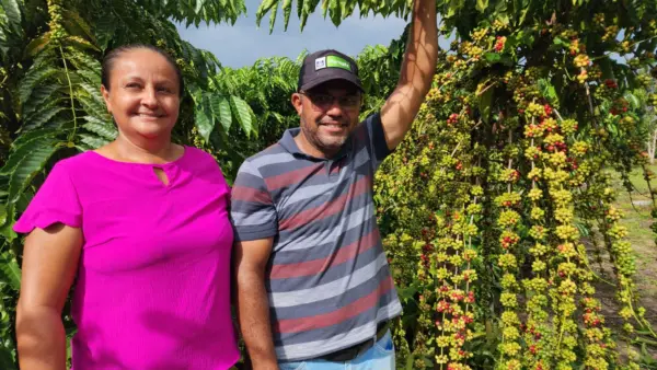 Produtor de Cruzeiro do Sul revela segredos que o levaram a vencer prêmio de melhor café do Acre: 'manejo'; VÍDEO 4 Produtor de Cruzeiro do Sul revela segredos que o levaram a vencer prêmio de melhor café do Acre: 'manejo'; VÍDEO