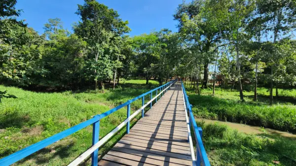 Único seringal urbano do mundo, Parque Capitão Ciríaco preserva história viva do Acre no Centro de Rio Branco 2 Único seringal urbano do mundo, Parque Capitão Ciríaco preserva história viva do Acre no Centro de Rio Branco