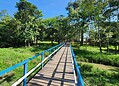 Único seringal urbano do mundo, Parque Capitão Ciríaco preserva história viva do Acre no Centro de Rio Branco
