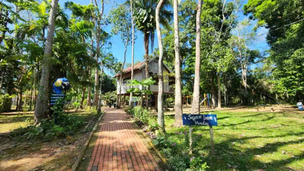 Único seringal urbano do mundo, Parque Capitão Ciríaco preserva história viva do Acre no Centro de Rio Branco 3 Único seringal urbano do mundo, Parque Capitão Ciríaco preserva história viva do Acre no Centro de Rio Branco