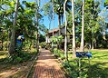 Único seringal urbano do mundo, Parque Capitão Ciríaco preserva história viva do Acre no Centro de Rio Branco