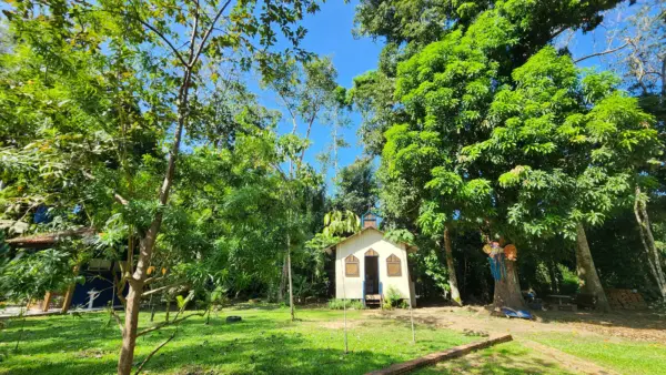 Único seringal urbano do mundo, Parque Capitão Ciríaco preserva história viva do Acre no Centro de Rio Branco 7 Único seringal urbano do mundo, Parque Capitão Ciríaco preserva história viva do Acre no Centro de Rio Branco