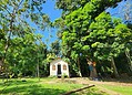 Único seringal urbano do mundo, Parque Capitão Ciríaco preserva história viva do Acre no Centro de Rio Branco