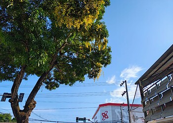 Foto: Anne Nascimento