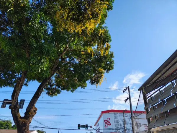 Terça-feira começa com sol e temperaturas elevadas no Acre, prevê em Censipam