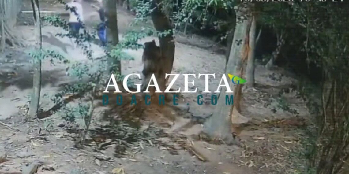 VÍDEO: Câmeras registram momento em que dupla armada tenta executar rival em bairro de Rio Branco