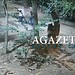 VÍDEO: Câmeras registram momento em que dupla armada tenta executar rival em bairro de Rio Branco