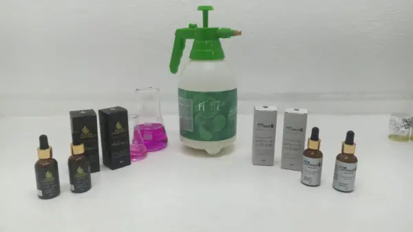 Startups que brotam da floresta: inovação com DNA amazônico transforma ideias em negócios reais 3 Startups que brotam da floresta: inovação com DNA amazônico transforma ideias em negócios reais