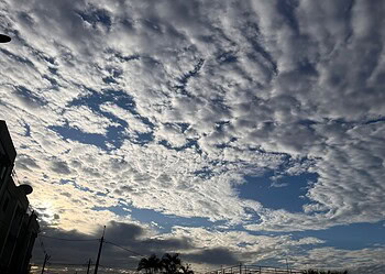 Foto: Iryá Rodrigues