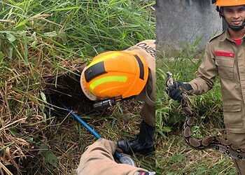 Foto: Reprodução/Instagram