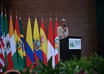 Foto: Juan Vicent Diaz