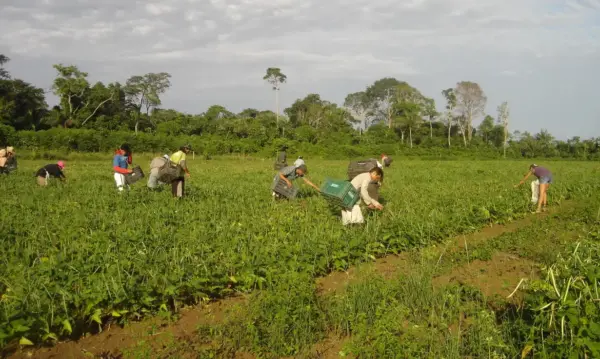 Fundo Amazônia investirá R$ 24 milhões em agricultura familiar no Acre