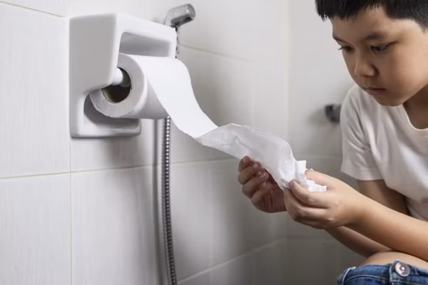 Entenda porque no Brasil não é recomendado jogar papel higiênico no vaso sanitário