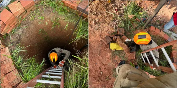 VÍDEO: cachorro é resgatado por bombeiros após cair em poço com cerca de 10 metros no Acre