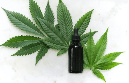 O uso recreativo da cannabis é legalizado no Canadá desde 2018. Foi a primeira grande economia do mundo a criar uma legislação desse tipo. - (crédito: Kimzy Nanney Unsplash)