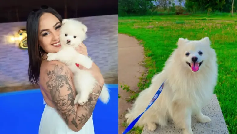 Emilly Talita Rodrigues e seu cachorro Theodoro • Reprodução/Redes Sociais