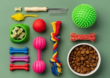 Quais brinquedos são ideais para entreter e estimular o seu pet? 
