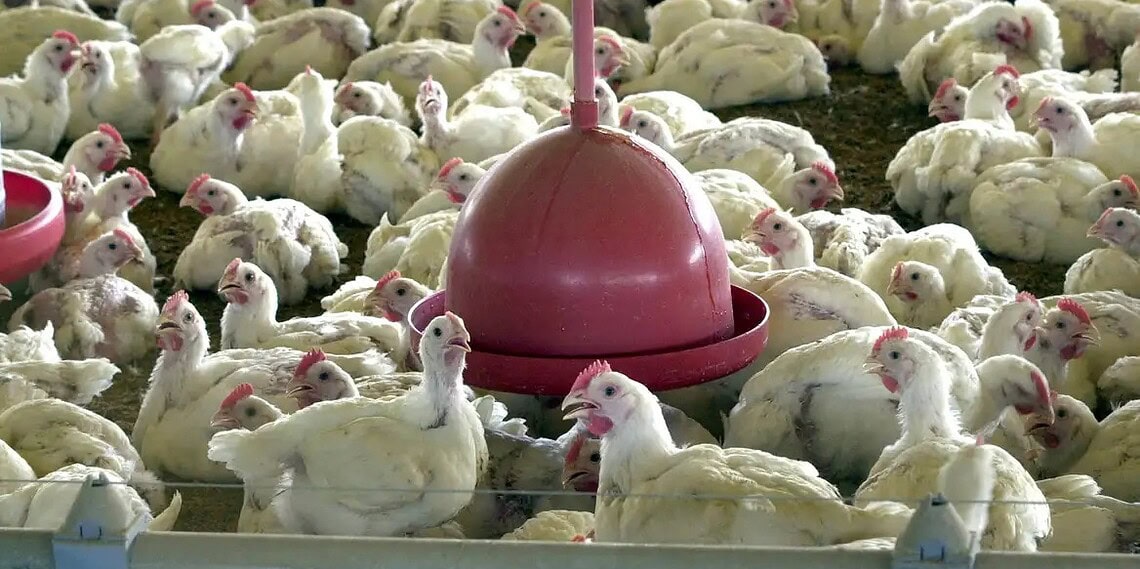 Foto: ARQUIVO/AGÊNCIA BRASIL