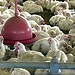 Foto: ARQUIVO/AGÊNCIA BRASIL