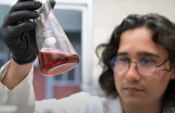 Startups que brotam da floresta: inovação com DNA amazônico transforma ideias em negócios reais 1 Startups que brotam da floresta: inovação com DNA amazônico transforma ideias em negócios reais