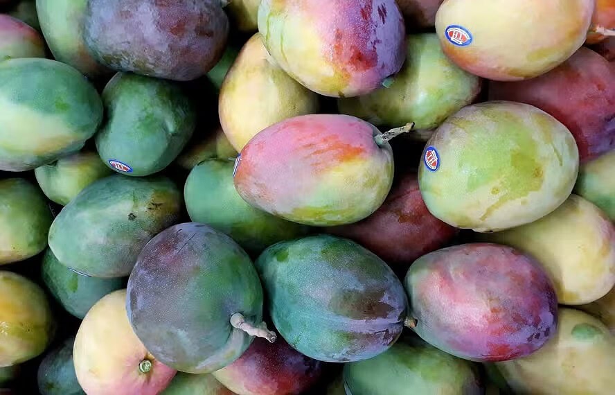 Novo estudo americano associou a fruta à prevenção do diabetes; veja mais — Foto: Marco Antonio Victorino/Pexels