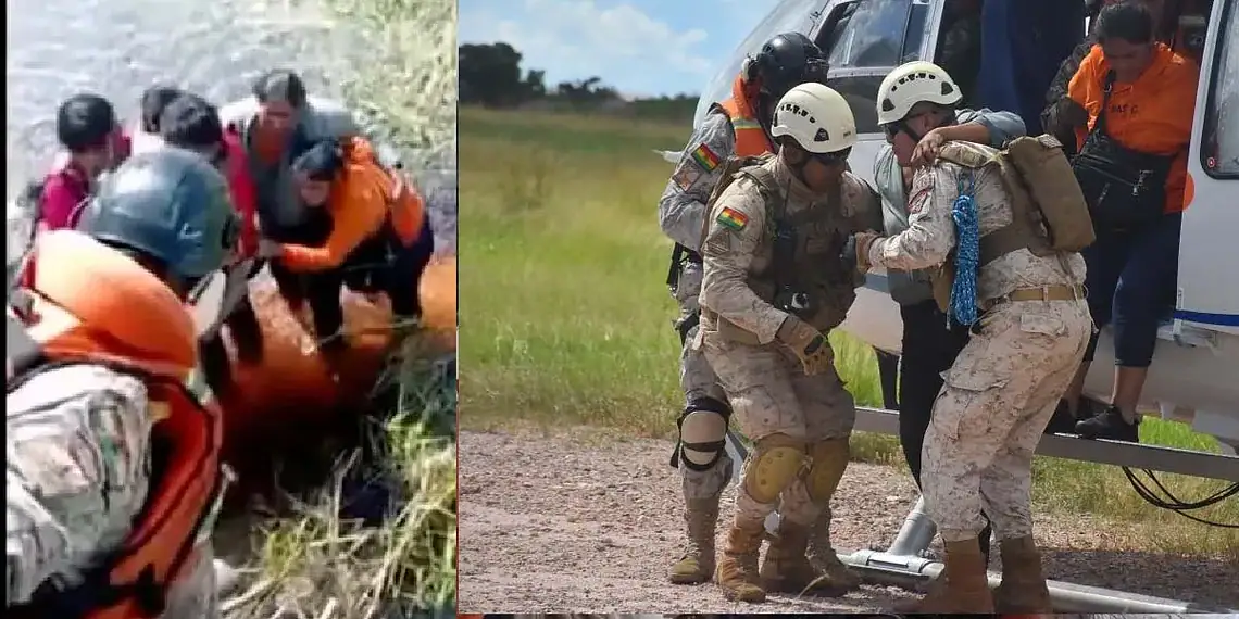 Cinco sobrevivem após queda de avião e são cercados por jacarés em pântano na Amazônia
