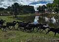 Centro Alto Santo passa por obras com investimento de R$ 900 mil no Acre