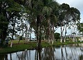 Centro Alto Santo passa por obras com investimento de R$ 900 mil no Acre