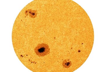 Foto: R. Kamlah et al. 2025