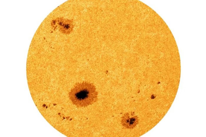 Foto: R. Kamlah et al. 2025