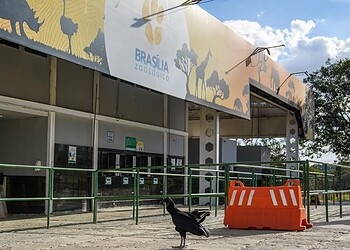Foto: KEBEC NOGUEIRA/METRÓPOLES @kebecfotografo