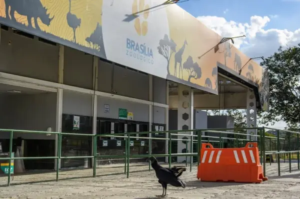 Zoológico de Brasília é fechado por suspeita de casos de gripe aviária