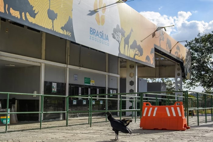 Foto: KEBEC NOGUEIRA/METRÓPOLES @kebecfotografo