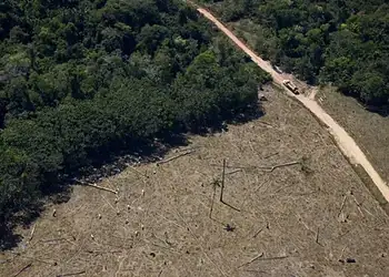 Foto: Daniel Beltra/Greenpeace