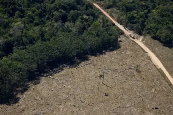 Contradições na pauta climática ameaçam protagonismo do Brasil na COP30