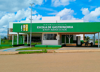 Desde o início de 2025, o Ieptec lança diversos cursos e oficinas por meio da Escola de Gastronomia. Foto: Ascom/Ieptec