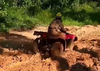 Foto: Reprodução/Instagram