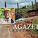 Homem morre decapitado em colisão entre moto e carreta na BR-364, no interior do Acre