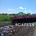 Caminhão com carga de bebidas capota na BR-317; motorista sofre escoriações