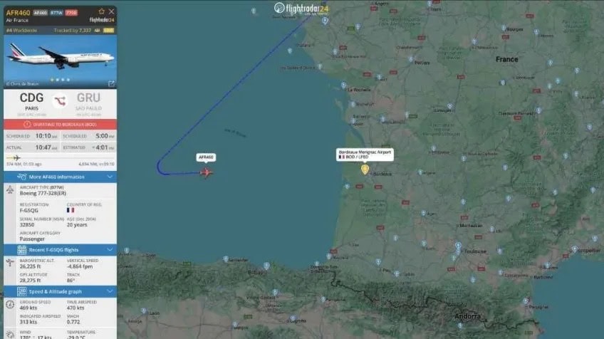 Voo AF460, origem Paris (CDG) e destino São Paulo (GRU)  • Flightradar24