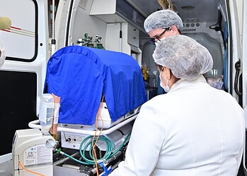 Foto: Ingrid Kelly/Secom