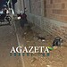 Motociclista morre após colidir contra muro no Parque dos Sábias, em Rio Branco