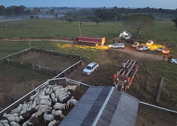 Foto: Arquivo/ICMBio