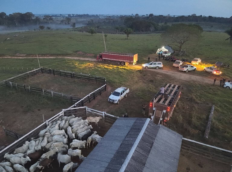 Foto: Arquivo/ICMBio