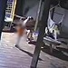 Menino de 2 anos que matou mãe: pai diz não ter visto filho com arma; VÍDEO