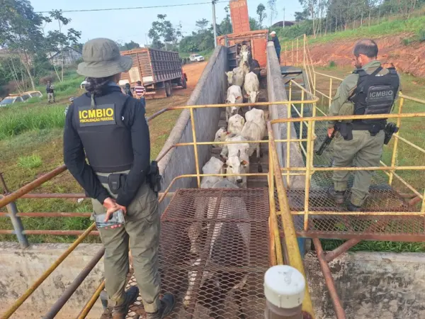 ICMBio denuncia ações criminosas contra a fiscalização na Reserva Extrativista Chico Mendes